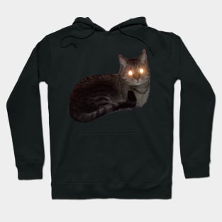 Tiny Laser Cat Hoodie